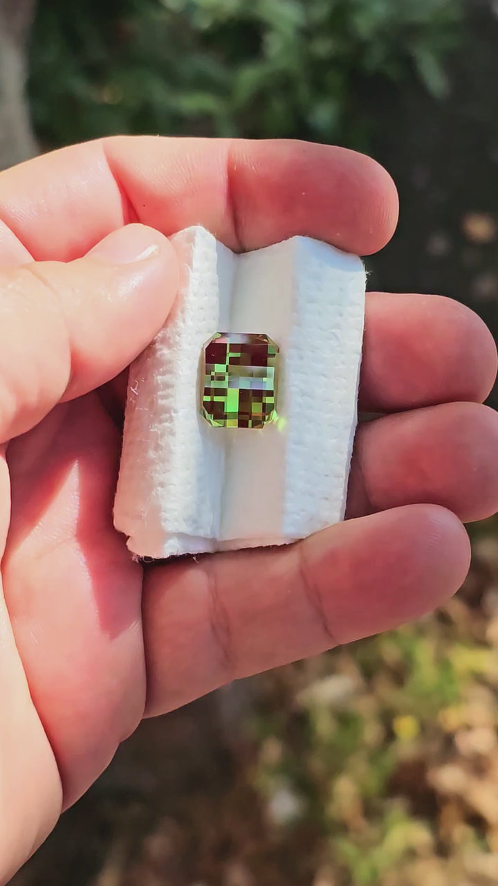 Kyroupolos Green and Red Christmas Garnet, Pixel Rectangle Cut, 13.44 Carats