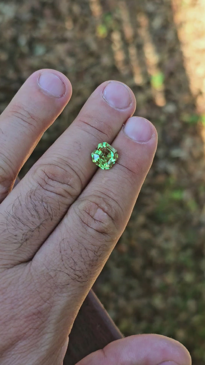 Czochralski Green and Red Christmas Garnet, Asscher Cut, 5 Carats