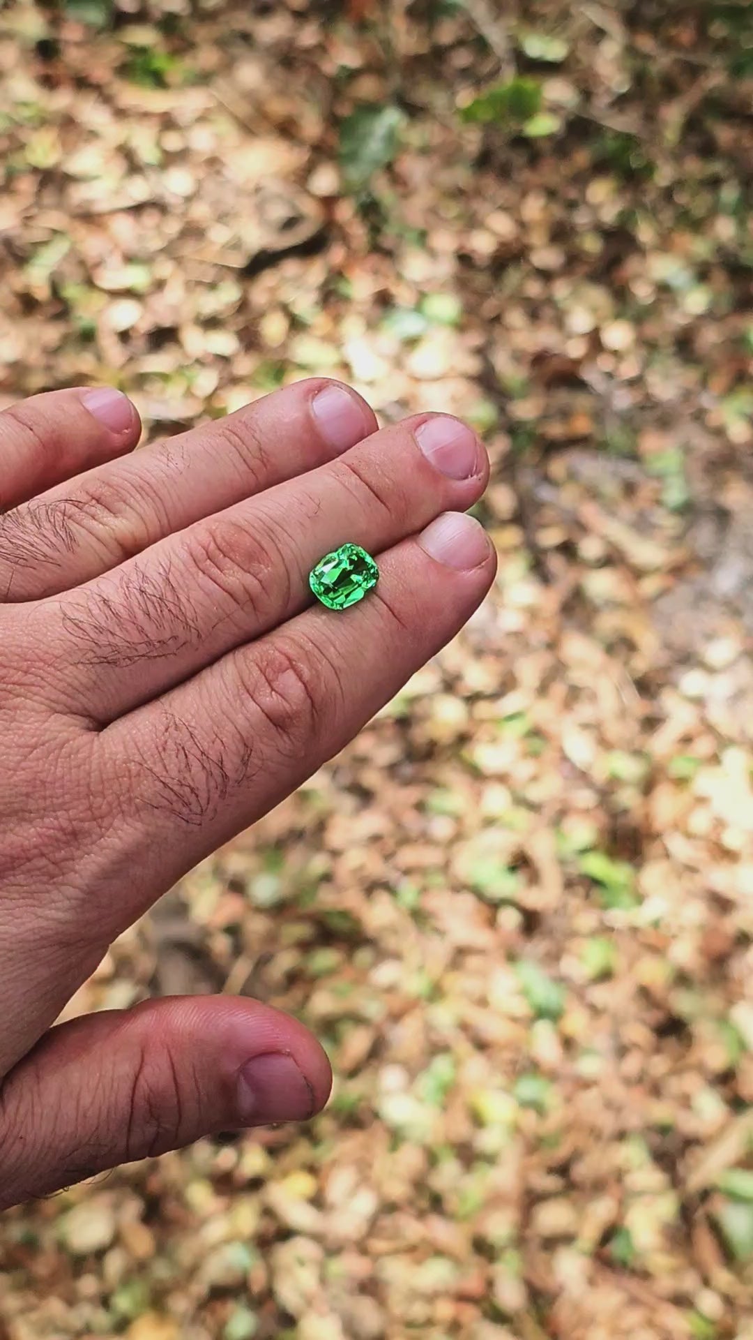 Djeva Green Lab Sapphire, Antique Long Cushion Cut, 4.70 Carats