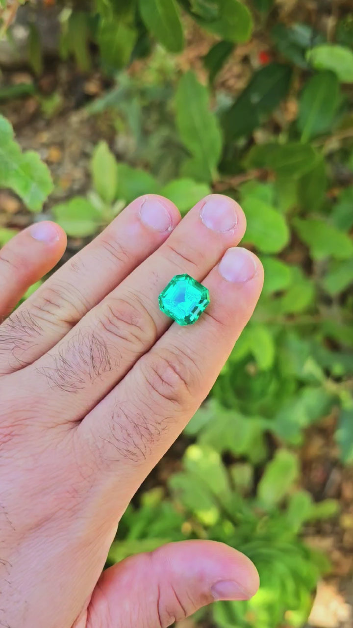 Colombian Color Green Lab Emerald, Asscher Cut, 9.43 Carats