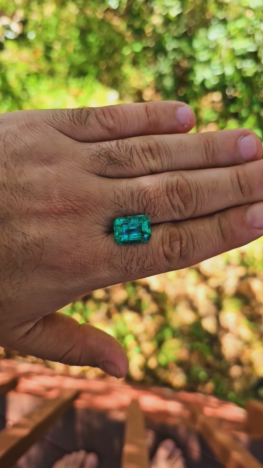Colombian Color Green Lab Emerald, Emerald Cut, 8.56 Carats