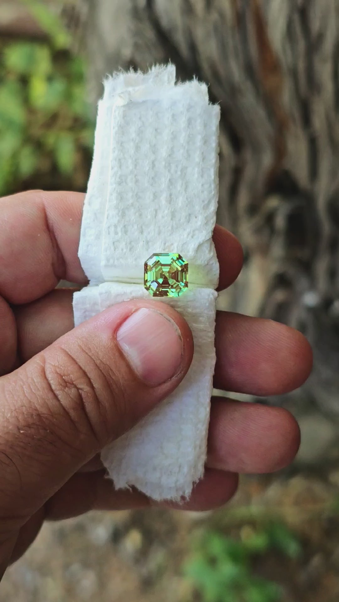 Czochralski Green and Red Christmas Garnet, Asscher Cut, 5 Carats