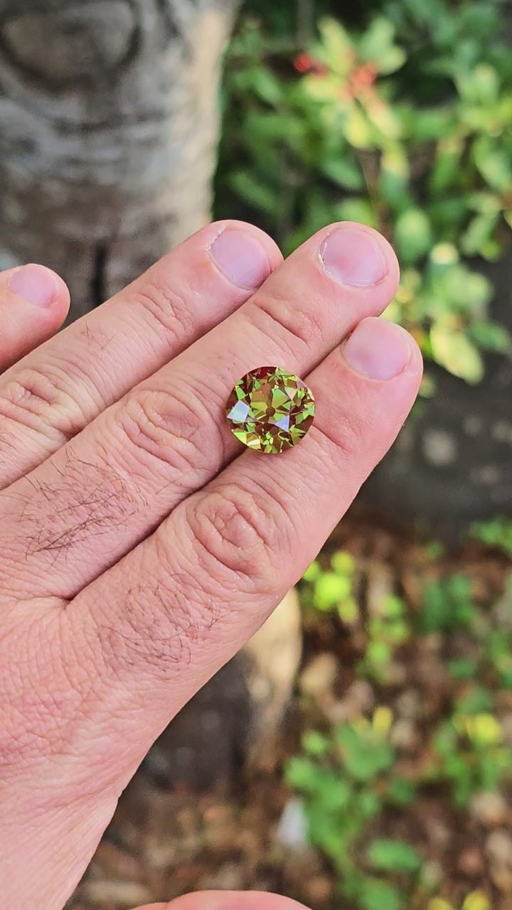 Green and Red Christmas Garnet, Antique Cushion Cut, 15.21 Carats