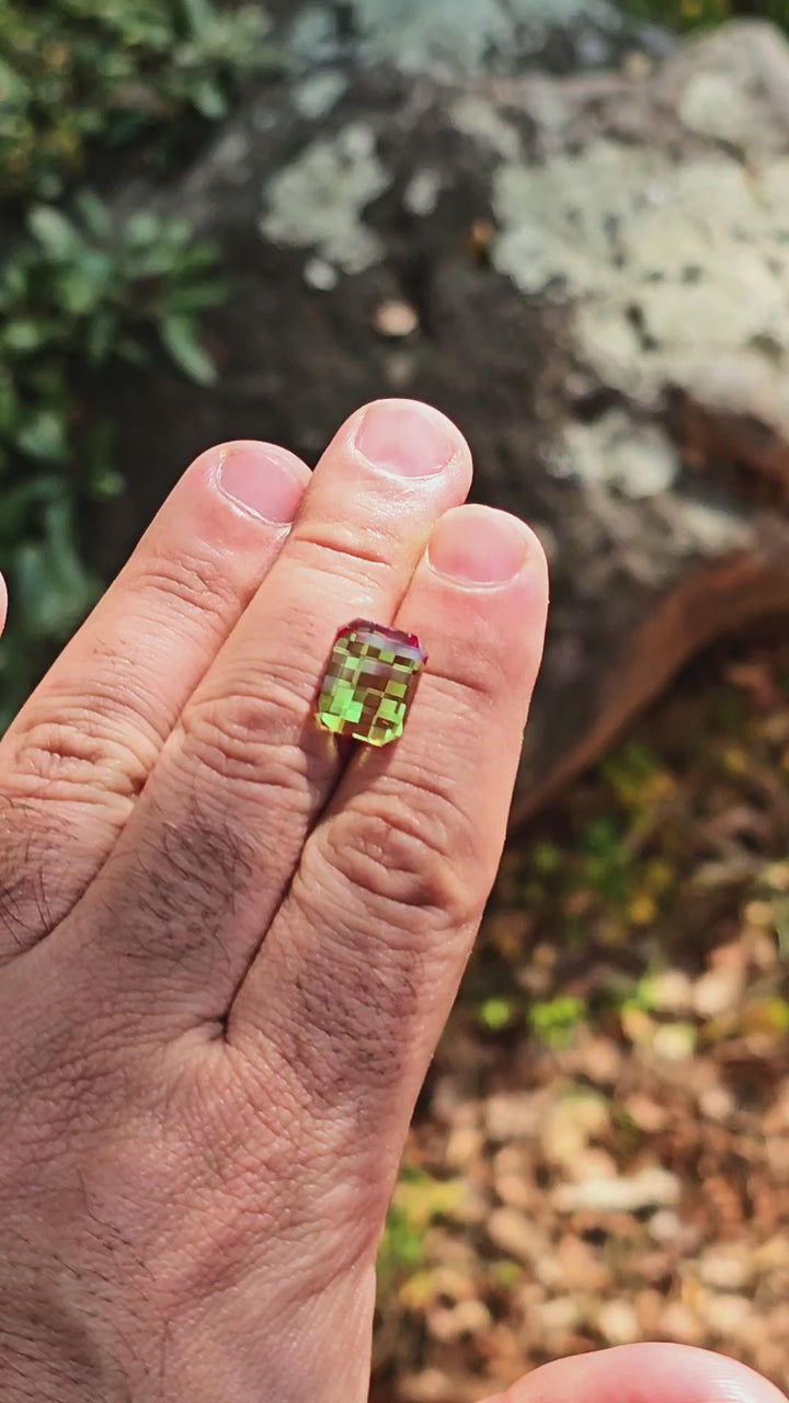 Kyroupolos Green and Red Christmas Garnet, Pixel Rectangle Cut, 13.44 Carats