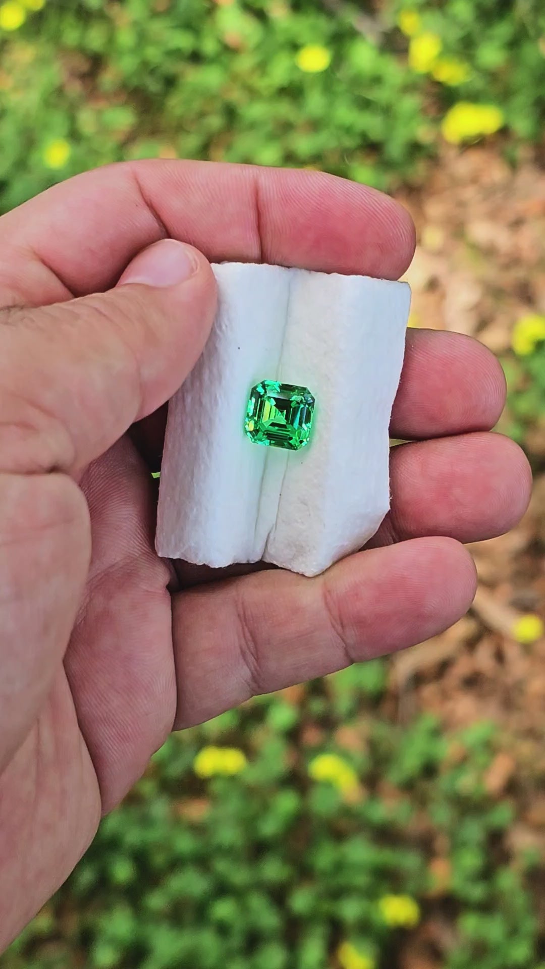 Vivid Green Vanadium YAG, Asscher Cut, 8.24 Carats
