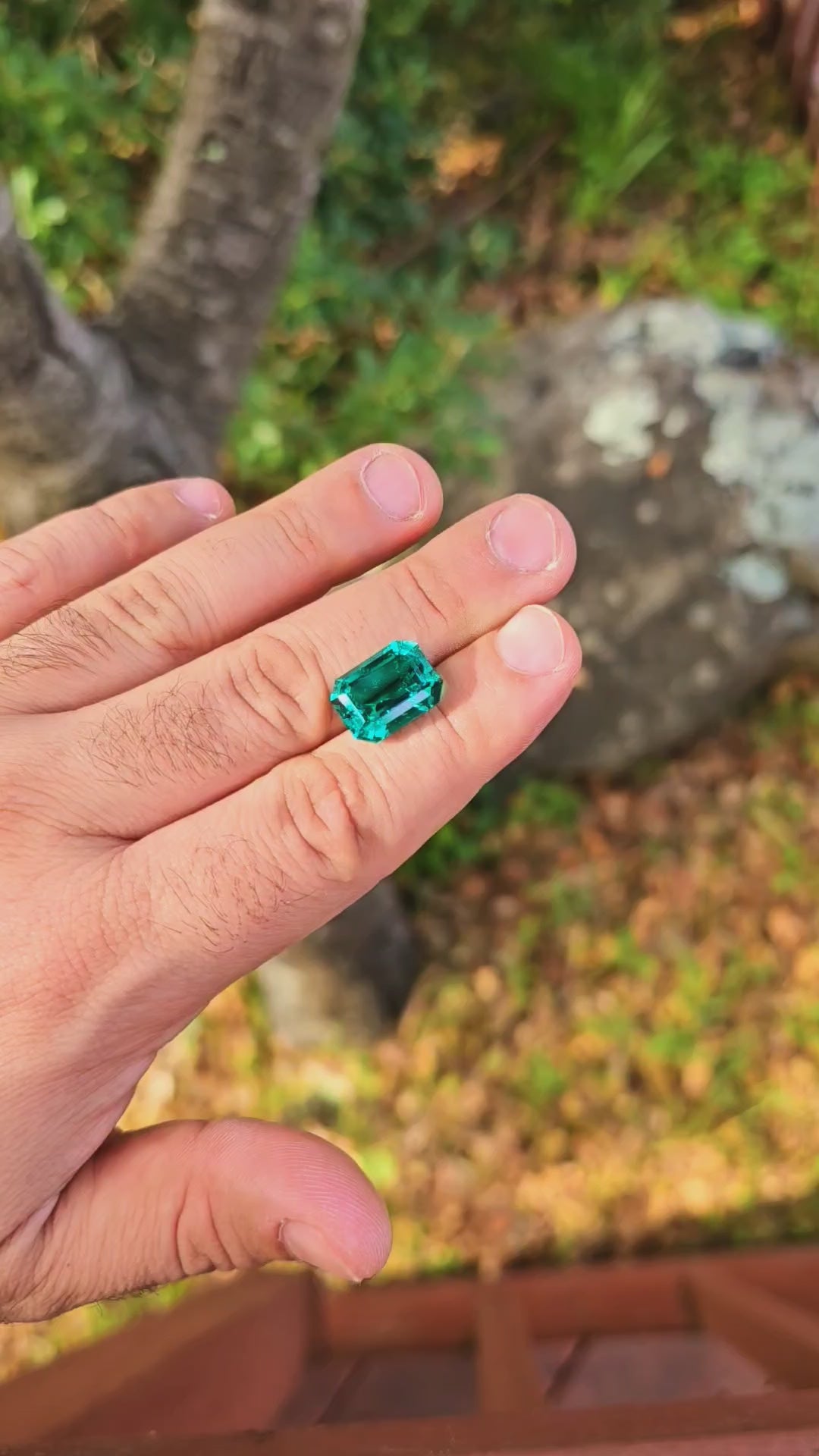 Colombian Color Green Lab Emerald, Emerald Cut, 10.13 Carats