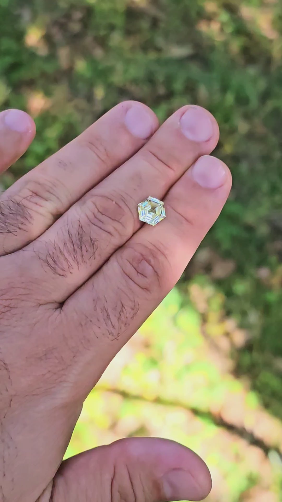 Pale Ghost Green Garnet, Hexagon Step Cut, 4.49 Carats