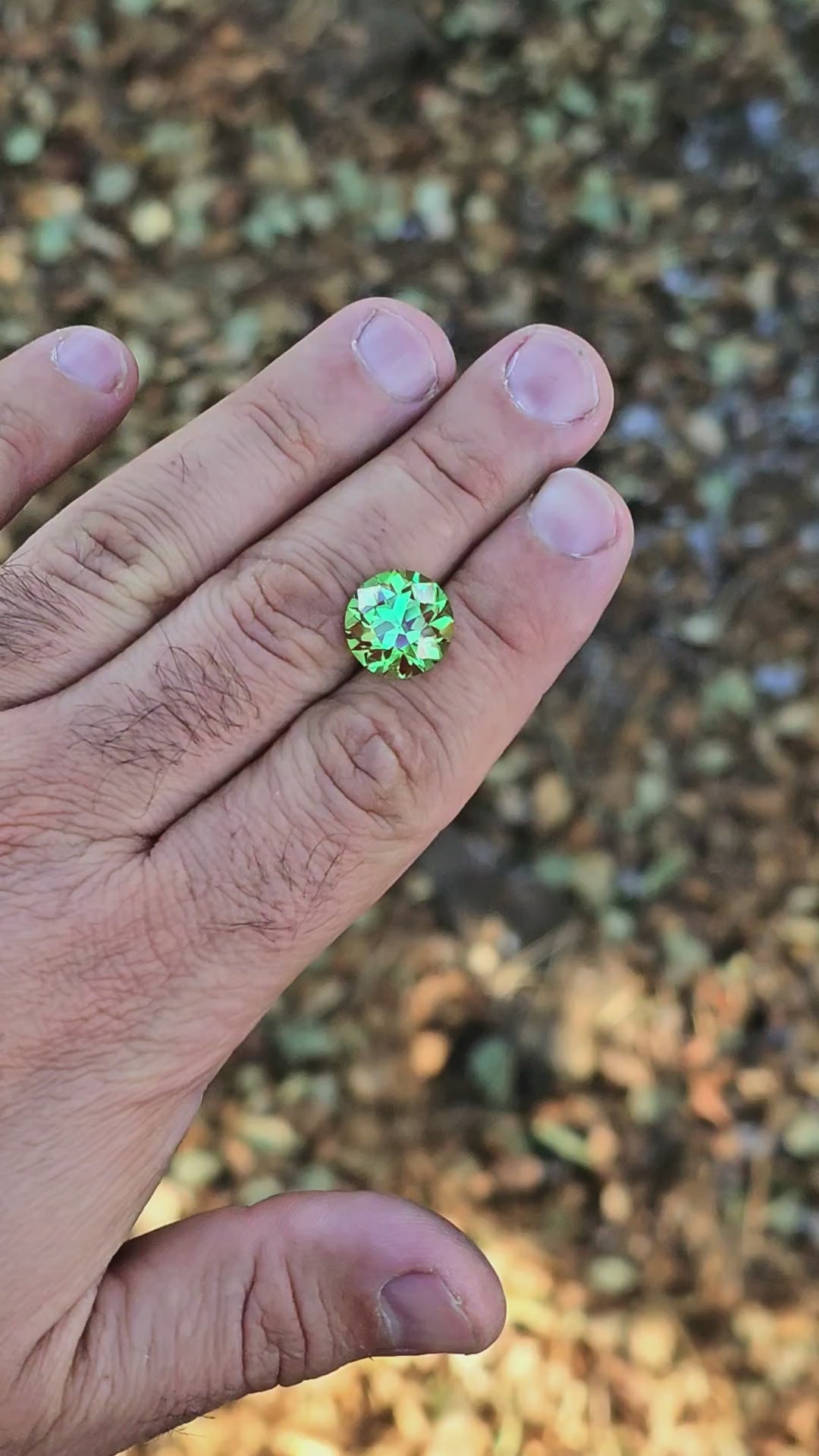 Green and Red Christmas Garnet, Traditional Round Brilliant Cut, 12.52 Carats