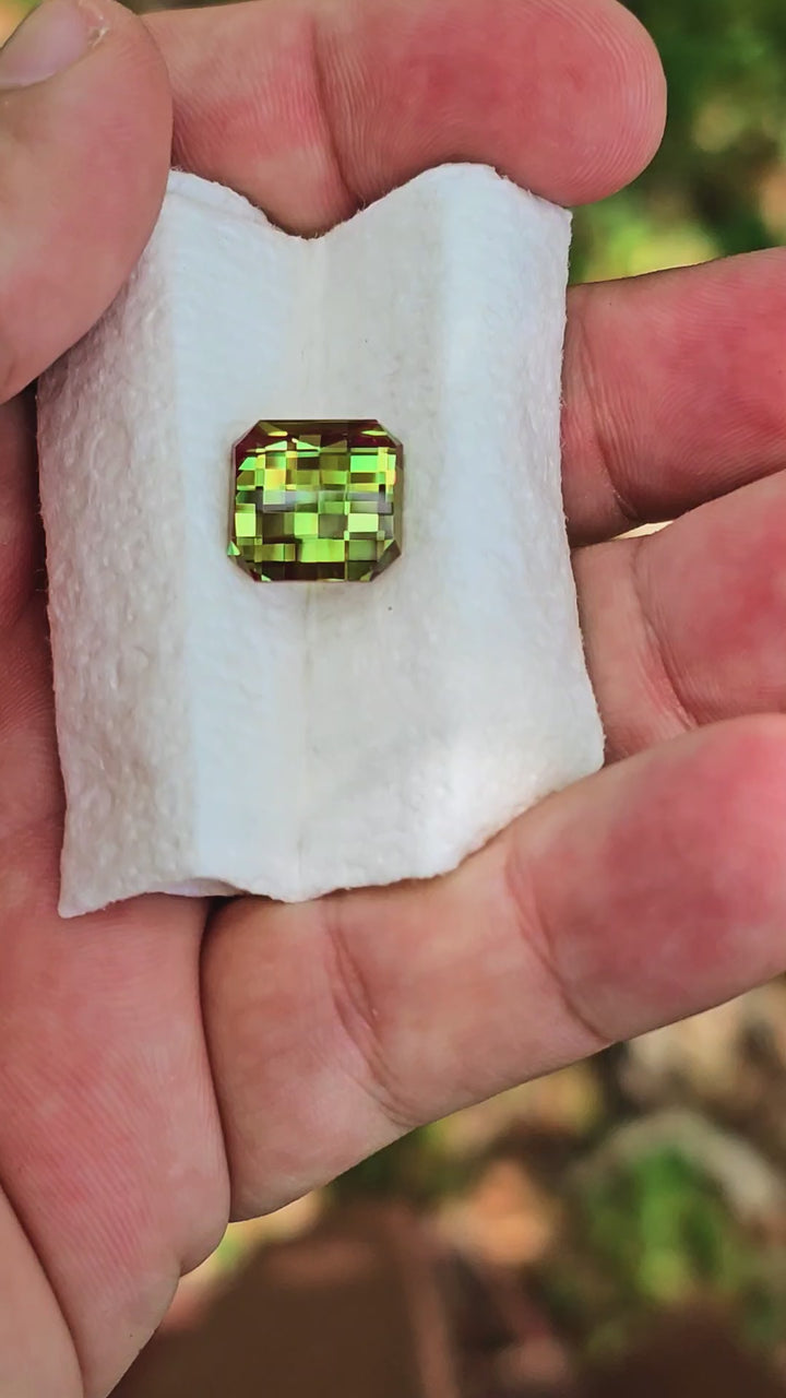 Kyroupolos Green and Red Christmas Garnet, Pixel Square Cut, 12.05 Carats