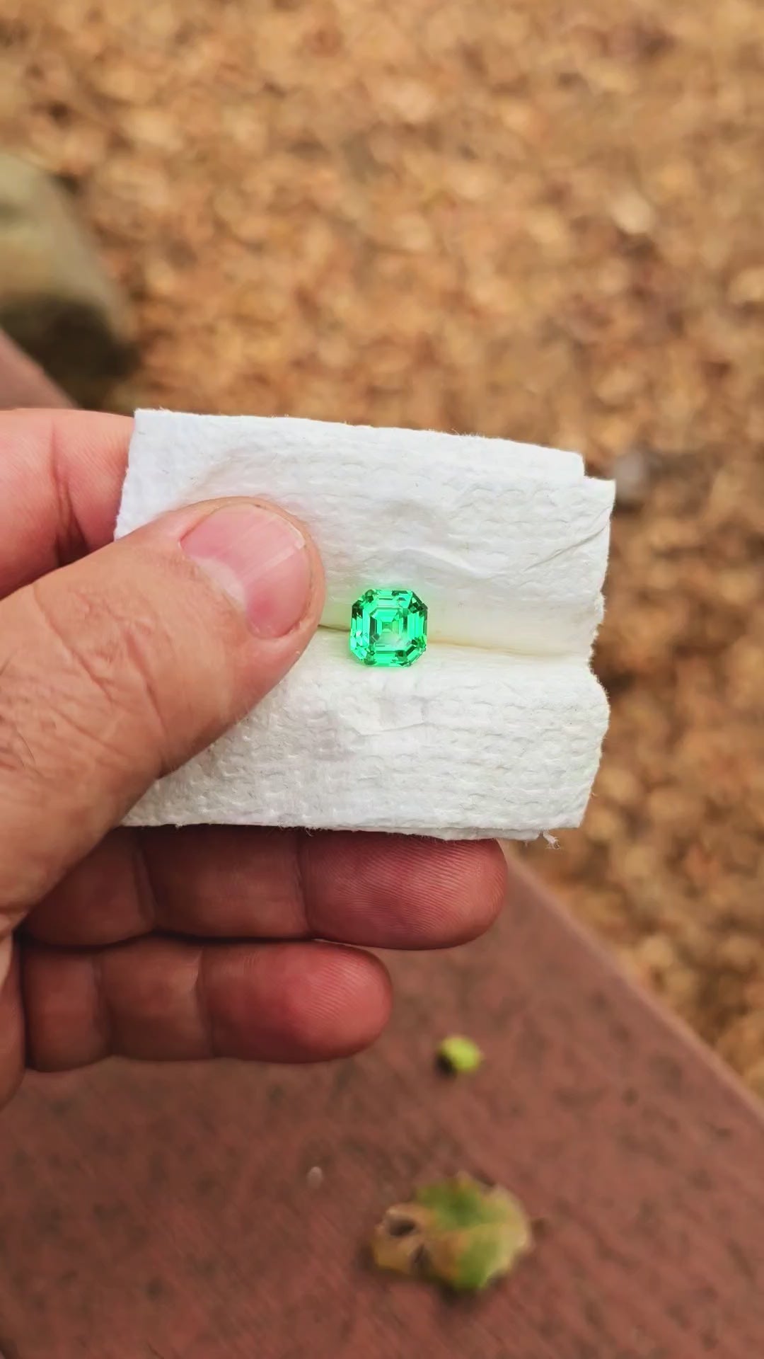 Vivid Green Vanadium YAG, Asscher Cut, 4.94 Carats