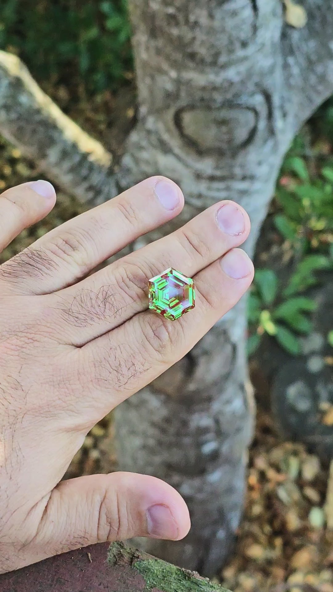 Green and Red Christmas Garnet, Hexagon Step Cut, 33.57 Carats