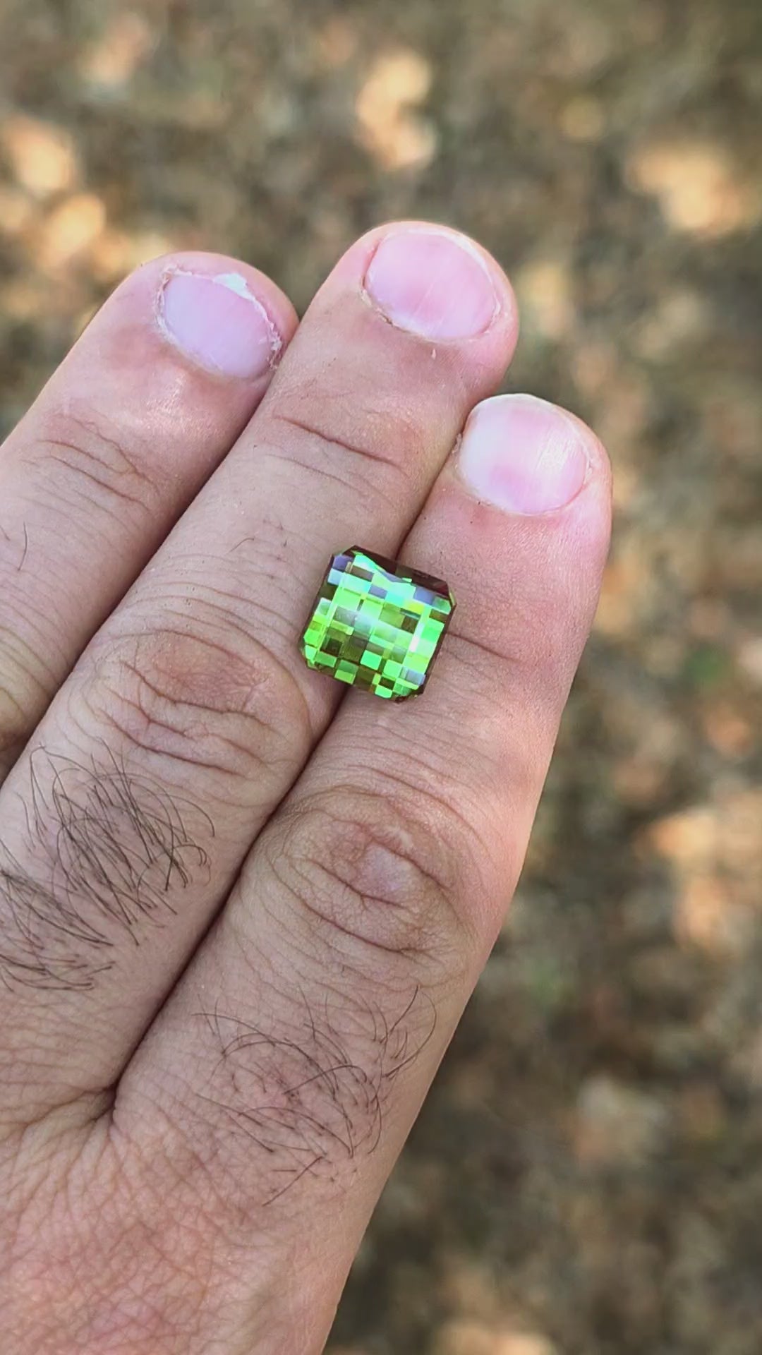 Kyroupolos Green and Red Christmas Garnet, Pixel Square Cut, 9.70 Carats