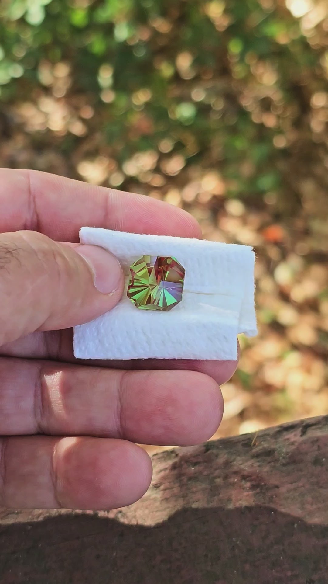 Green and Red Christmas Garnet, Tessellation Cut, 14.60 Carats