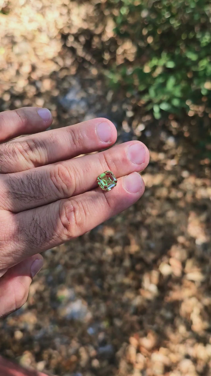 Green and Red Christmas Garnet, Asscher Cut, 5.74 Carats