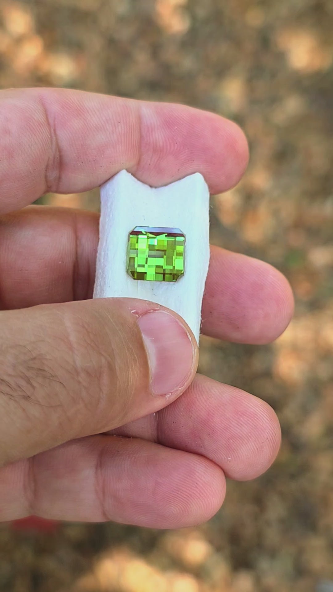 Kyroupolos Green and Red Christmas Garnet, Pixel Square Cut, 9.70 Carats