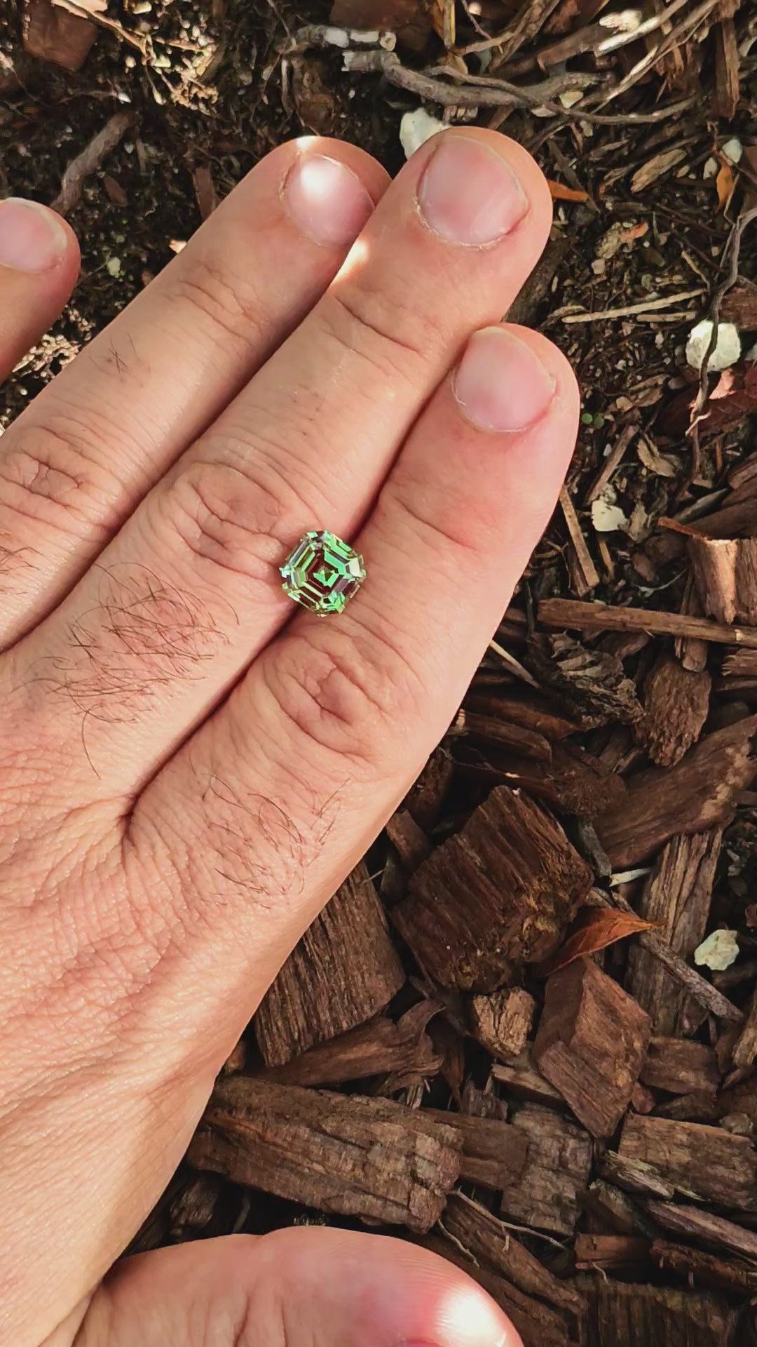 Green and Red Christmas Garnet, Asscher Cut, 3.81 Carats