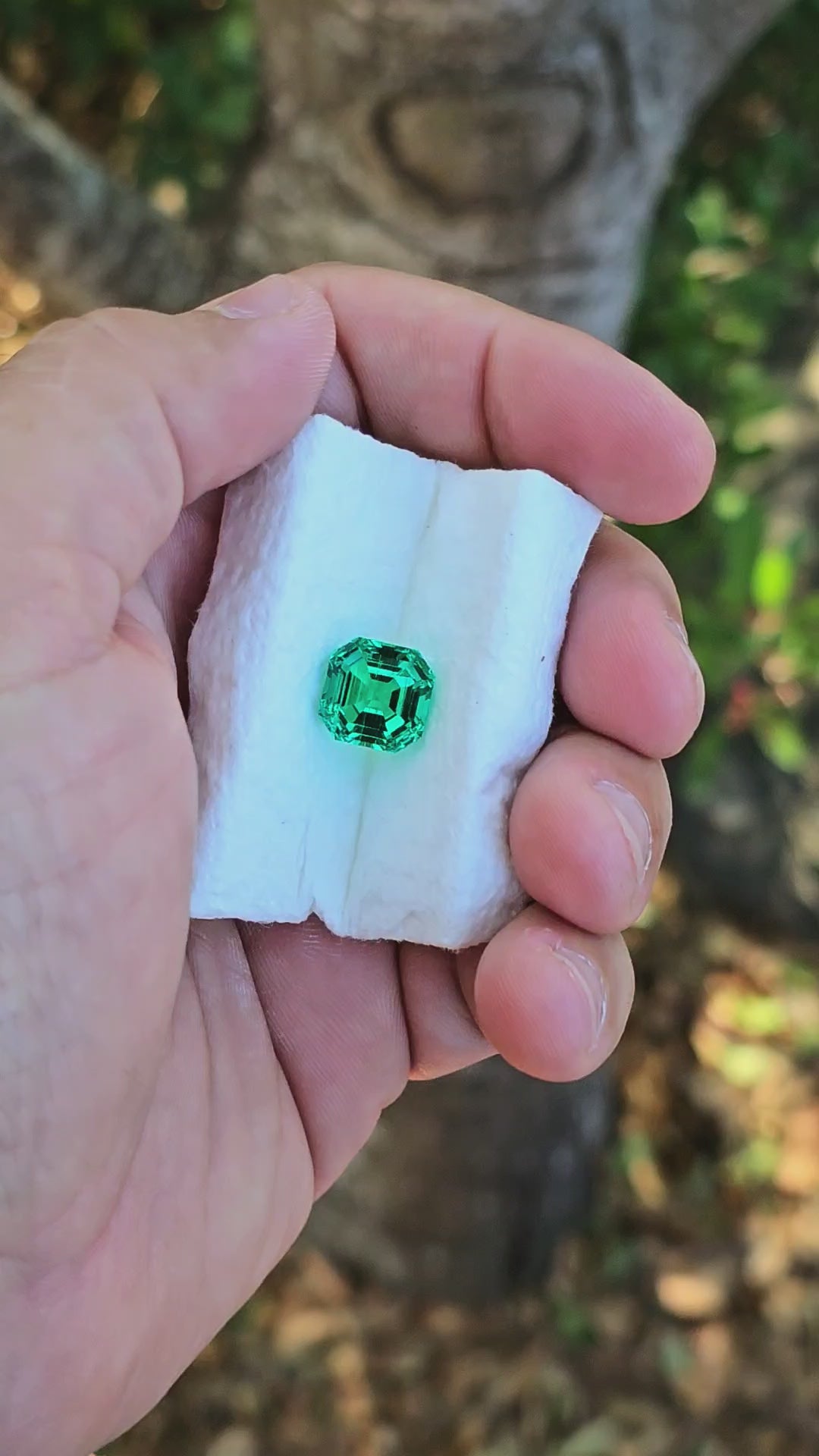 Colombian Color Green Lab Emerald, Asscher Cut, 6.45 Carats