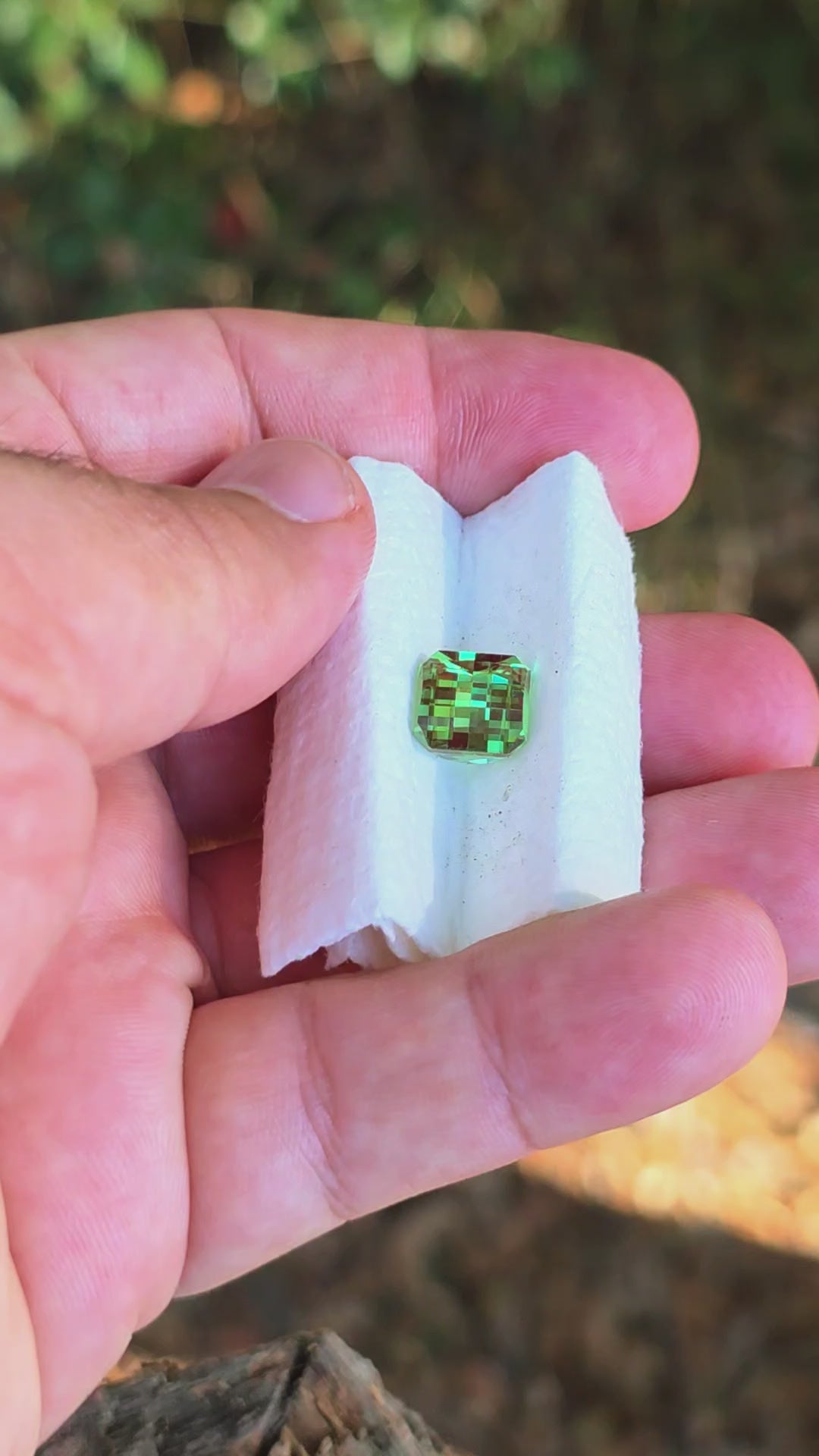 Czochralski Green and Red Christmas Garnet, Pixel Square Cut, 6.60 Carats