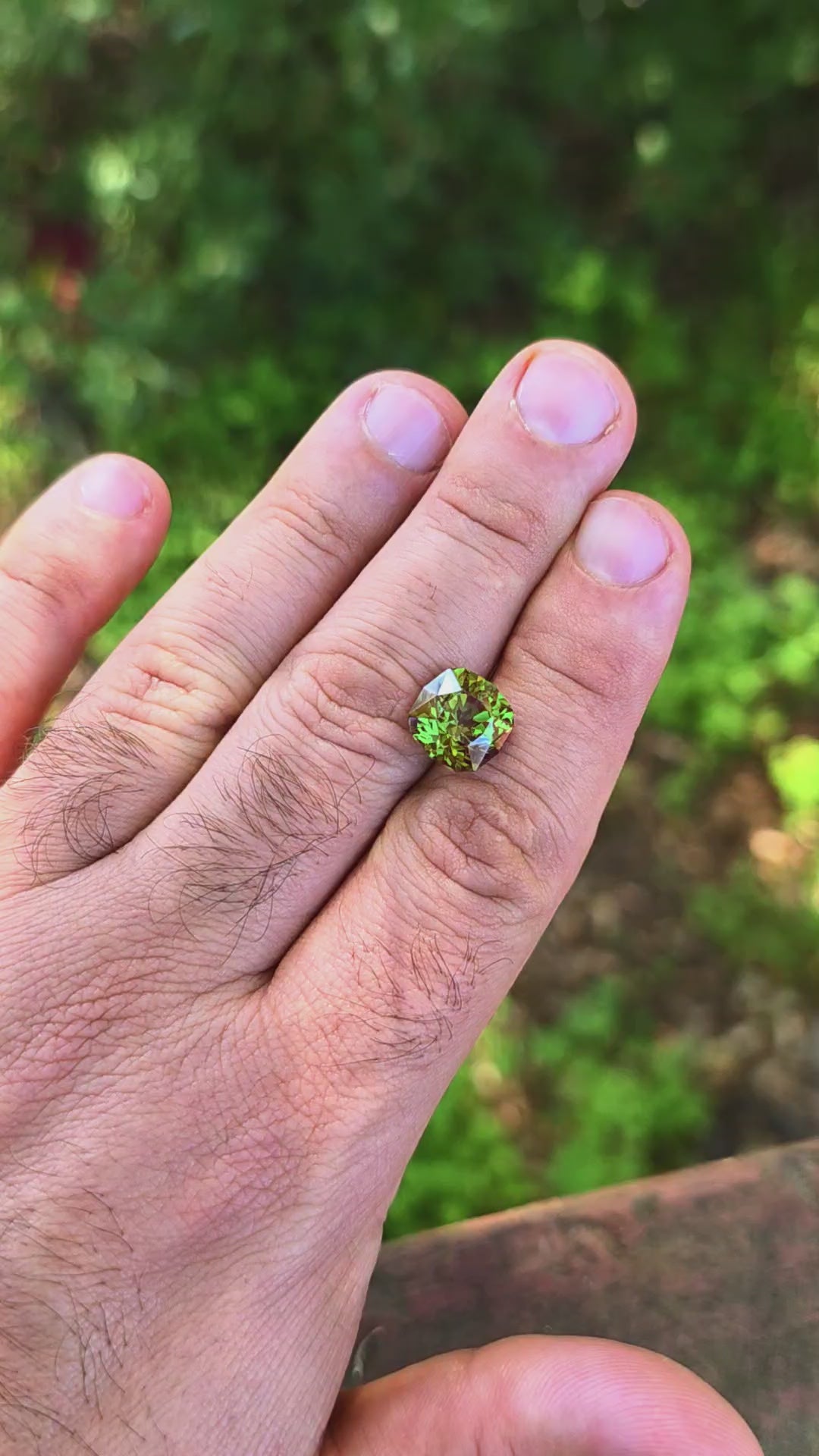 Kyroupolos Green and Red Christmas Garnet, House Of Sylas Cushion Cut, 8.48 Carats