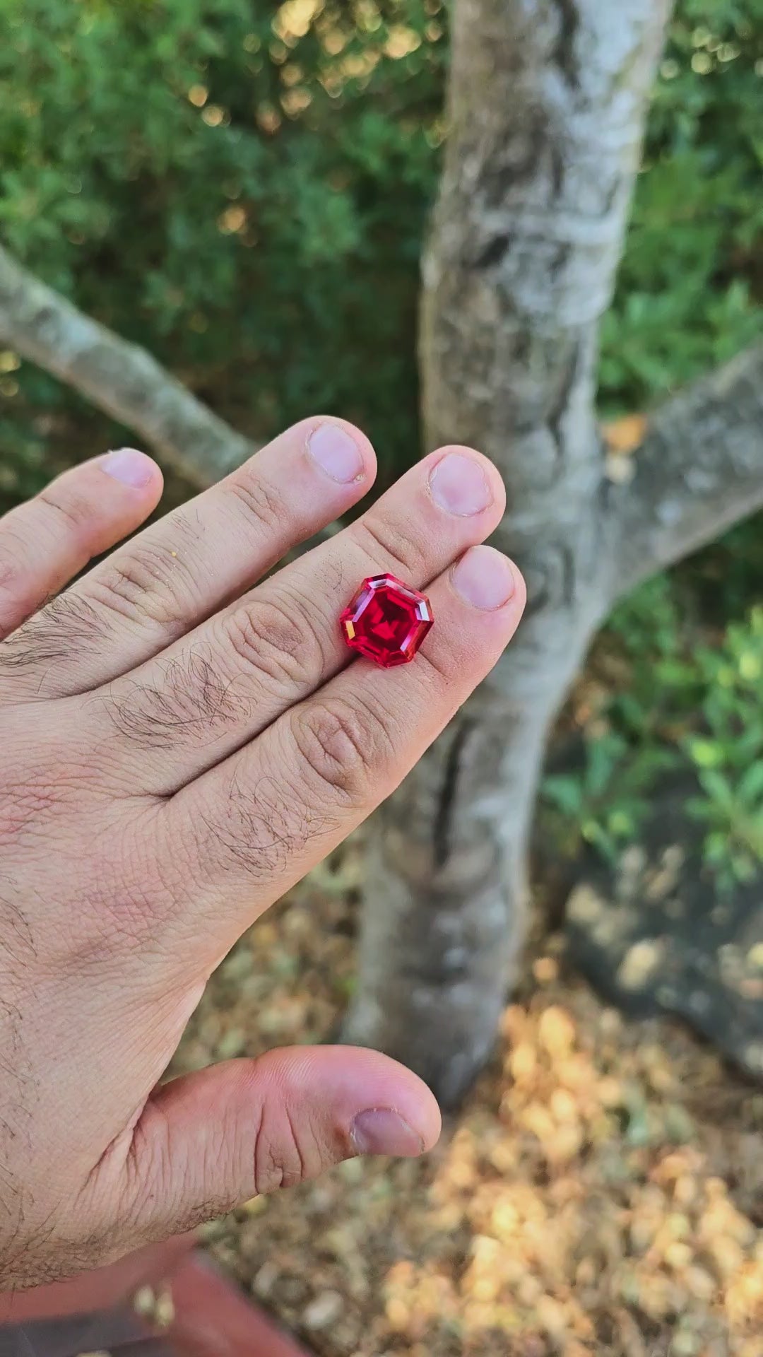 Pigeon Blood Lab Spinel, Asscher Cut, 12.6 Carats