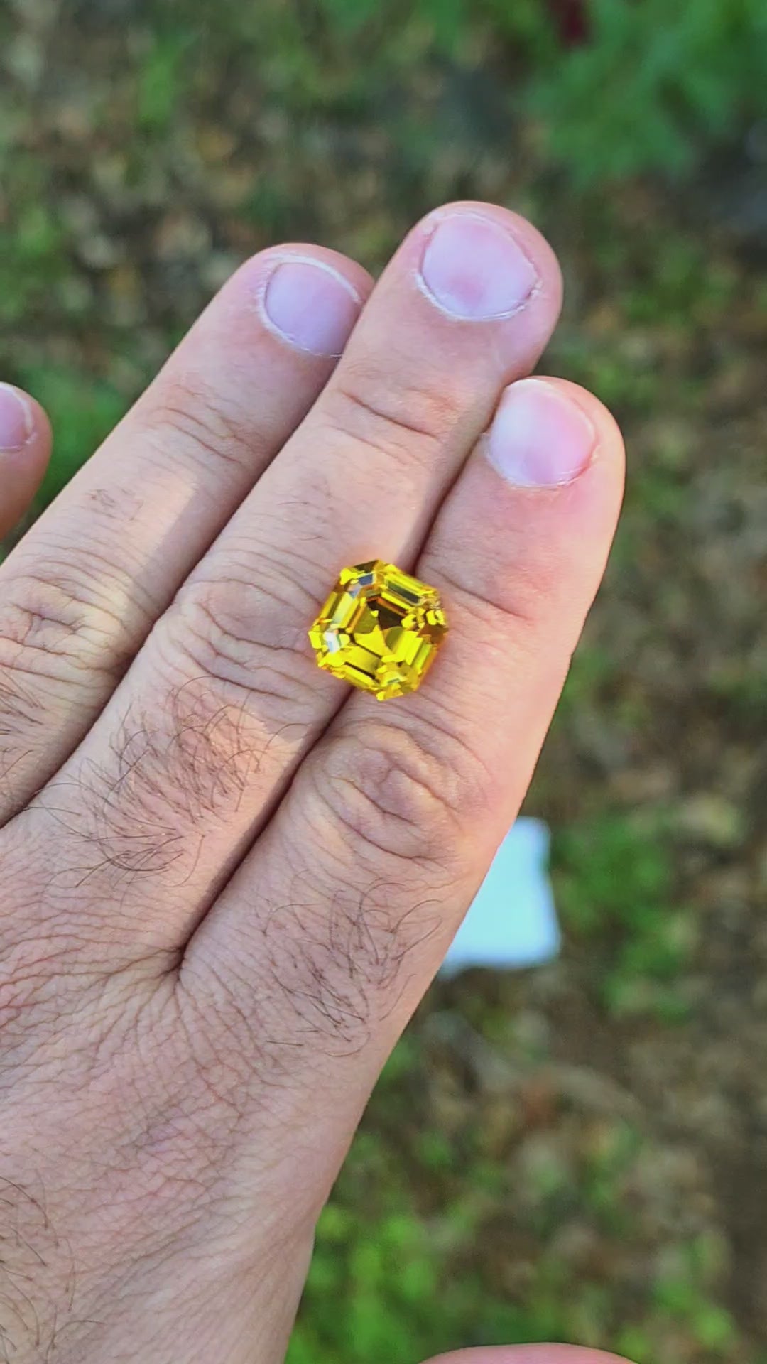 Golden Yellow Lab Sapphire, Asscher Cut, 10.27 Carats