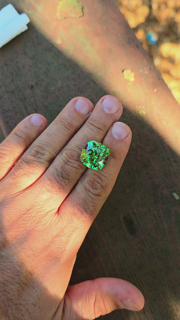 Czochralski Green and Red Christmas Garnet, House Of Sylas Cushion Cut, 31.19 Carats