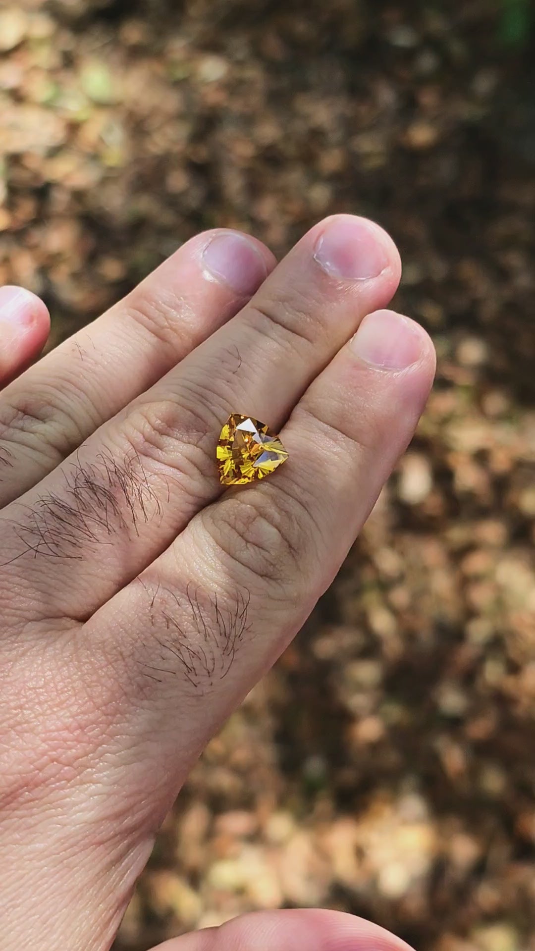 Golden Yellow Lab Sapphire, Trillian Internal Reflections Cut, 5.30 Carats