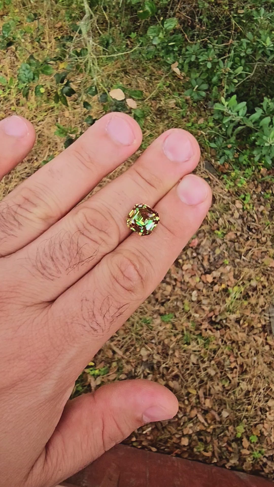 Green and Red Christmas Garnet, Asscher Cut, 9.14 Carats