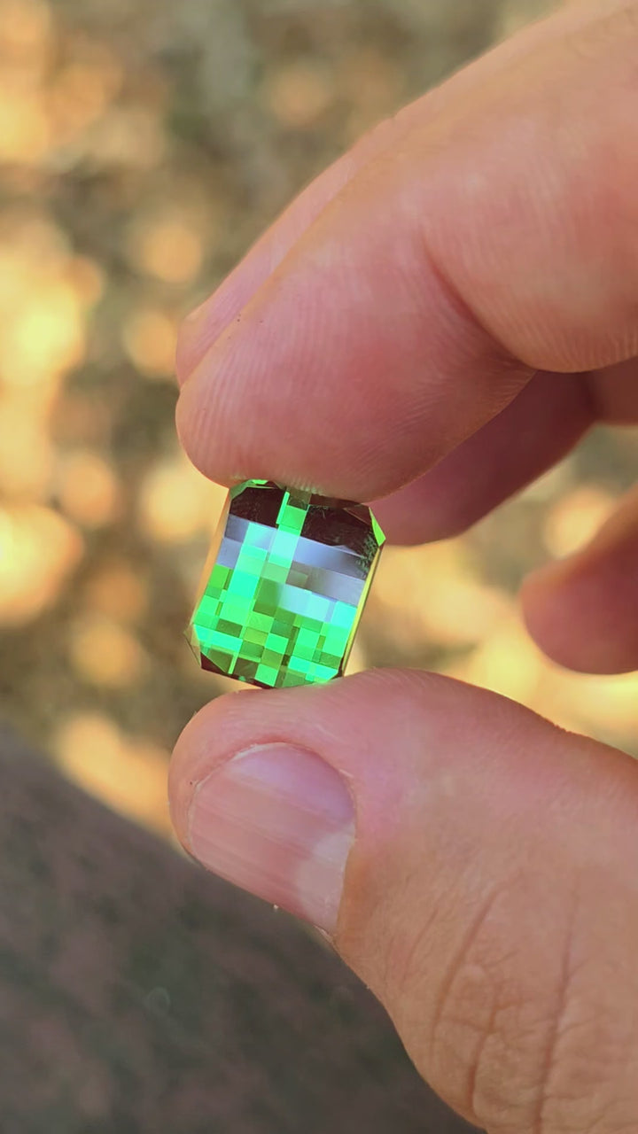 Czochralski Green and Red Christmas Garnet, Pixel Rectangle Cut, 11.35 Carats