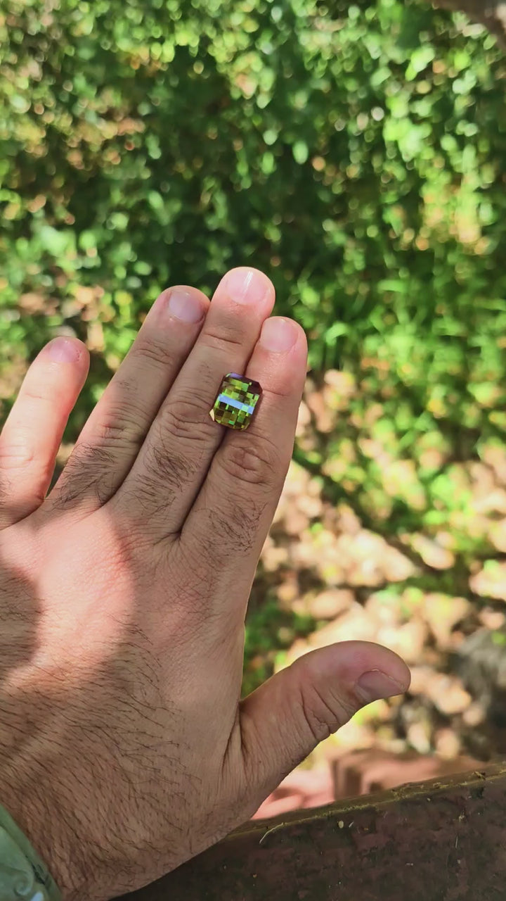 Kyroupolos Green and Red Christmas Garnet, Pixel Rectangle Cut, 16.64 Carats