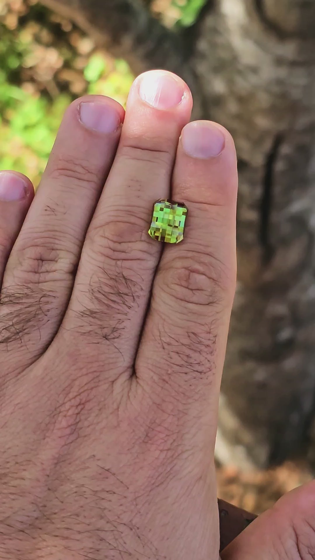 Green and Red Christmas Garnet, Pixel Rectangle Cut, 7.65 Carats