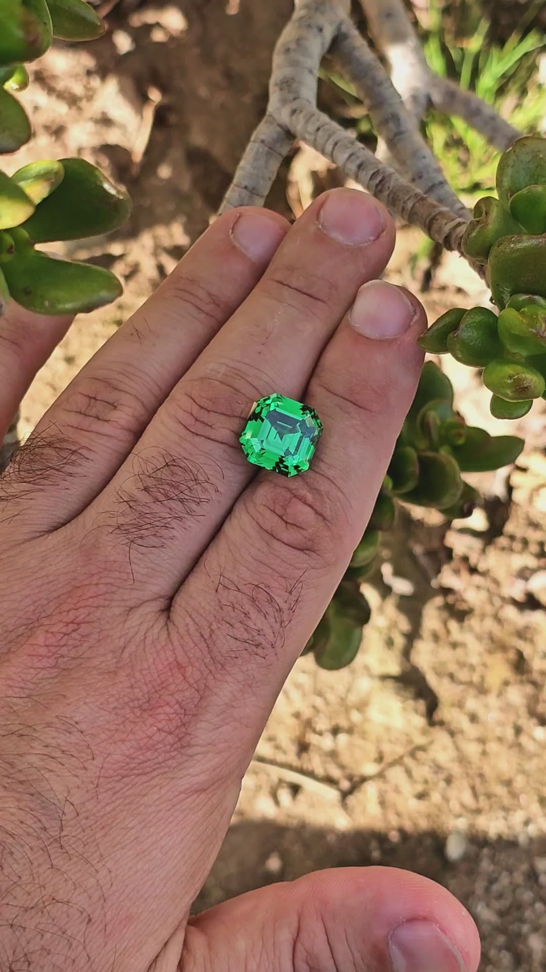 Green CTH YAG, Asscher Cut, 15.11 Carats