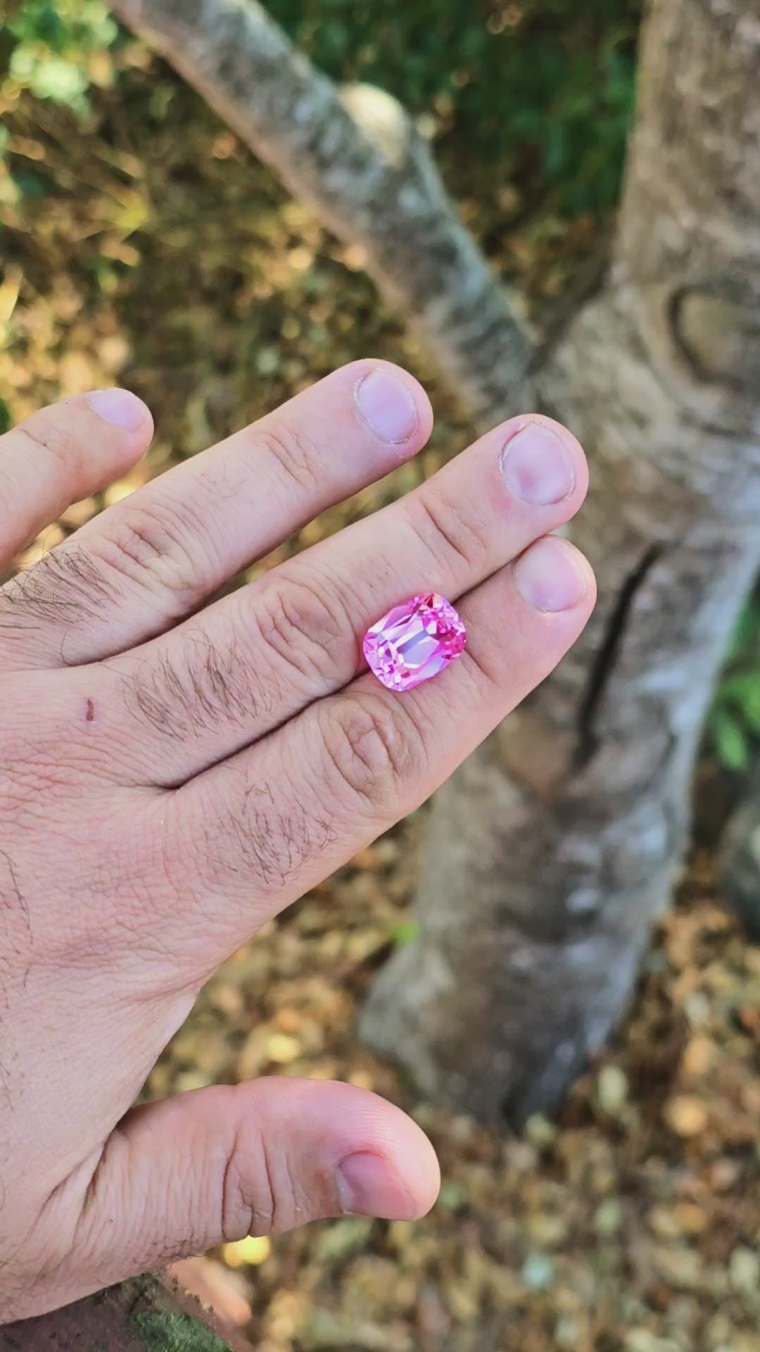 Star Wars Pink Laser Ruby, Antique Long Cushion Cut, 11.72 Carats