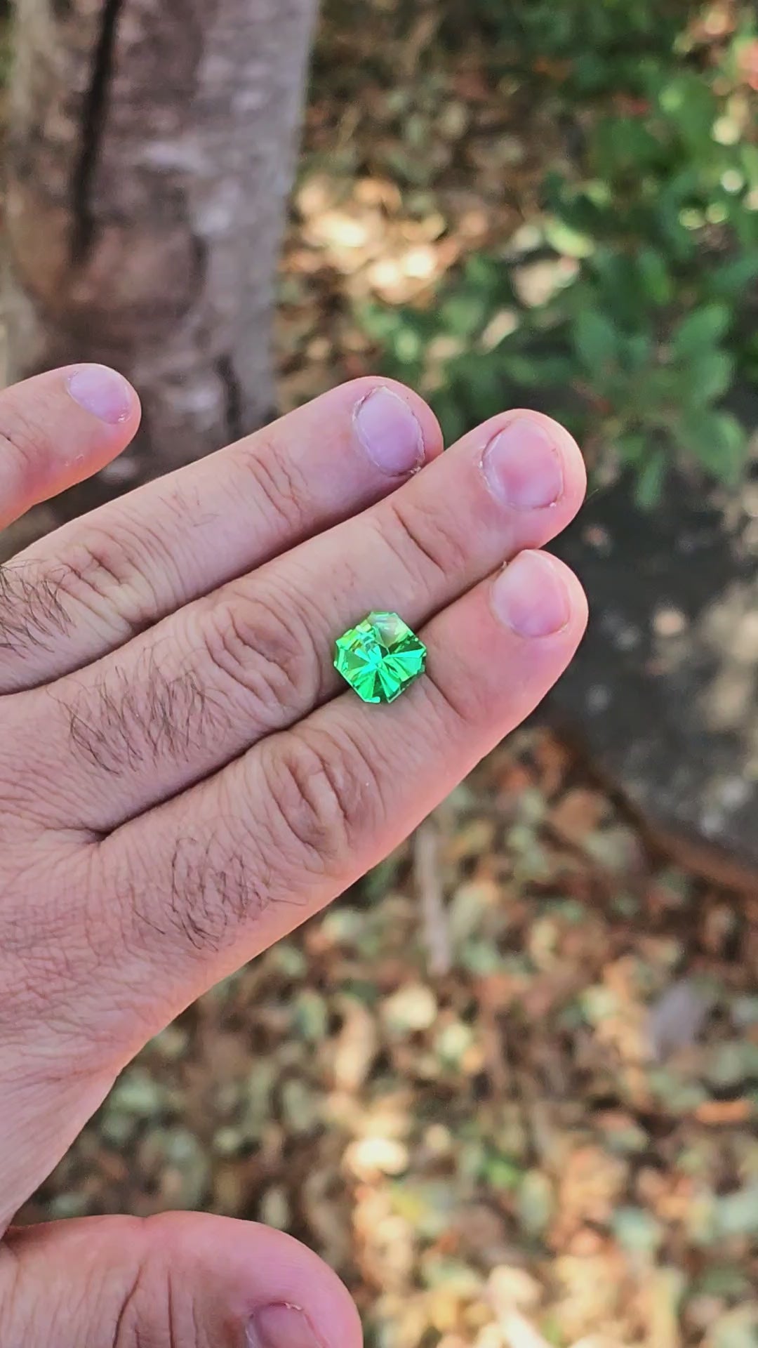 Vivid Green Vanadium YAG, Tessellation Cut, 7.72 Carats