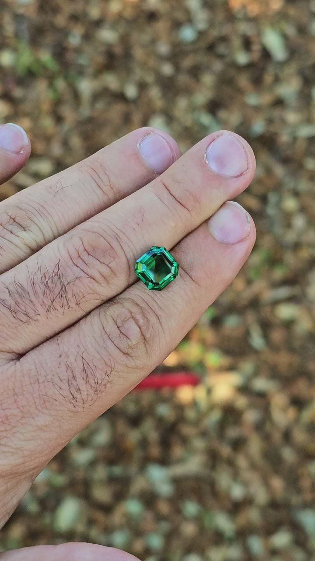 Zambian Colored Green Lab Emerald, Asscher Cut, 4.31 Carats