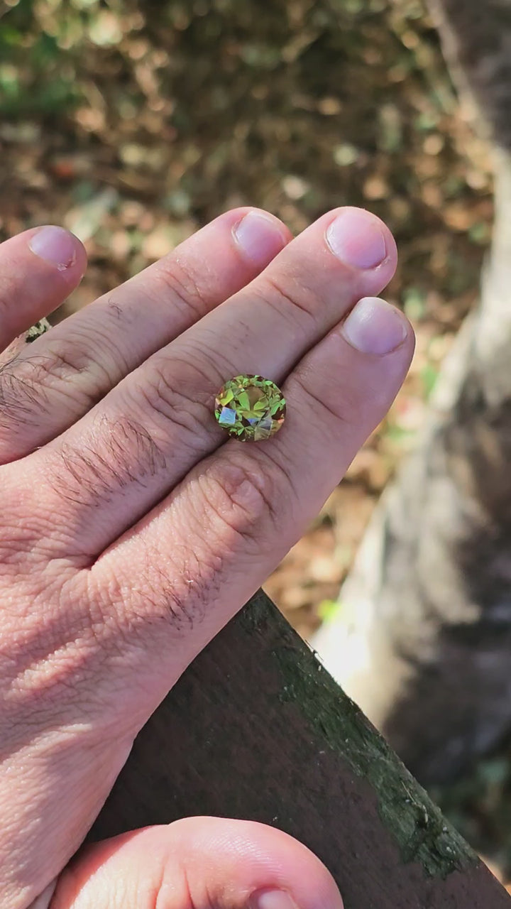 Green and Red Christmas Garnet, Traditional Round Brilliant Cut, 10.19 Carats