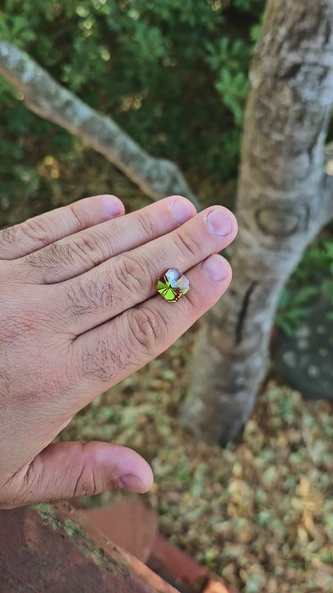 Green and Red Christmas Garnet, Tessellation Cut, 11.40 Carats