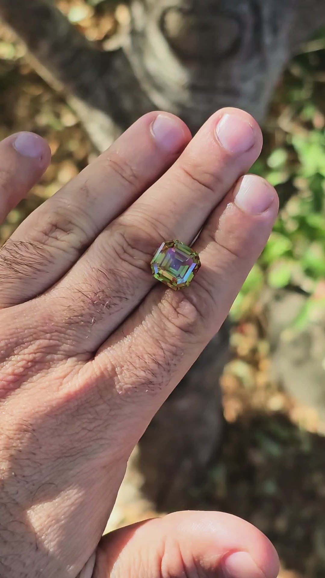 Green and Red Christmas Garnet, Asscher Cut, 13.82 Carats