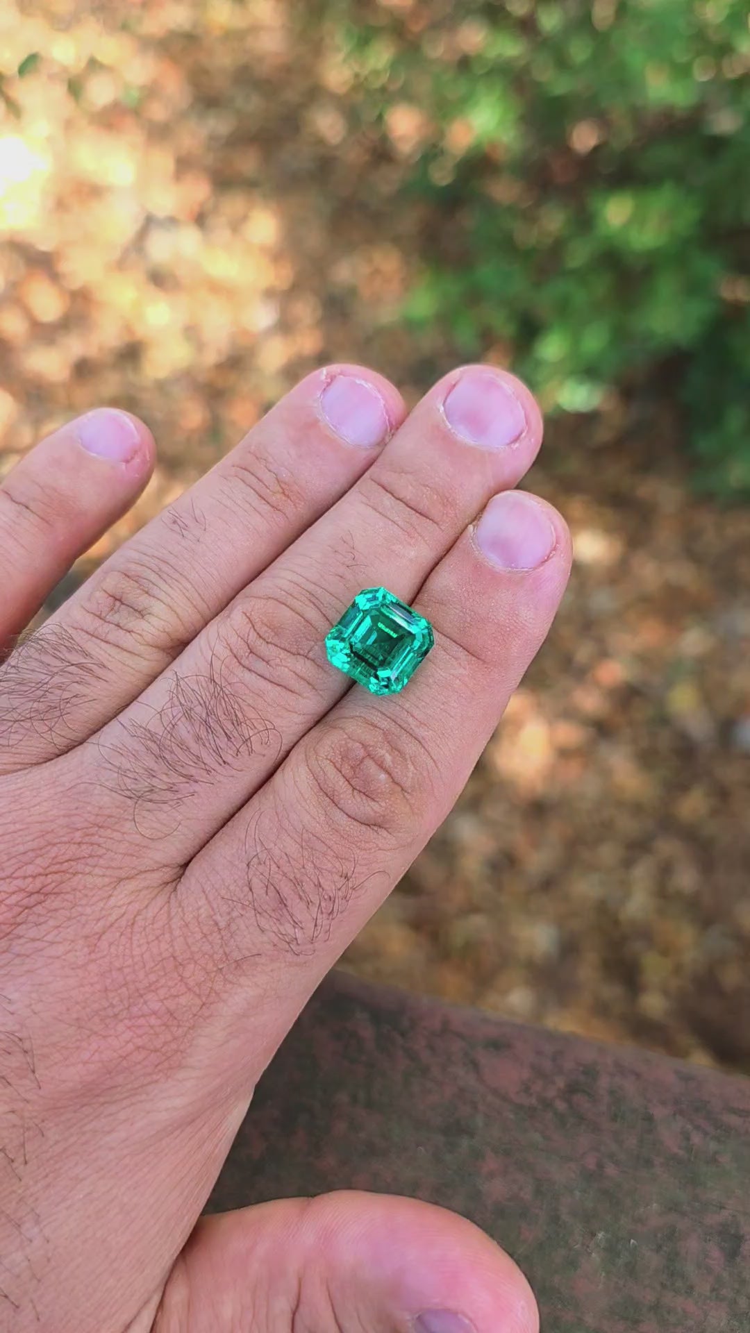 Colombian Color Green Lab Emerald, Asscher Cut, 8.04 Carats