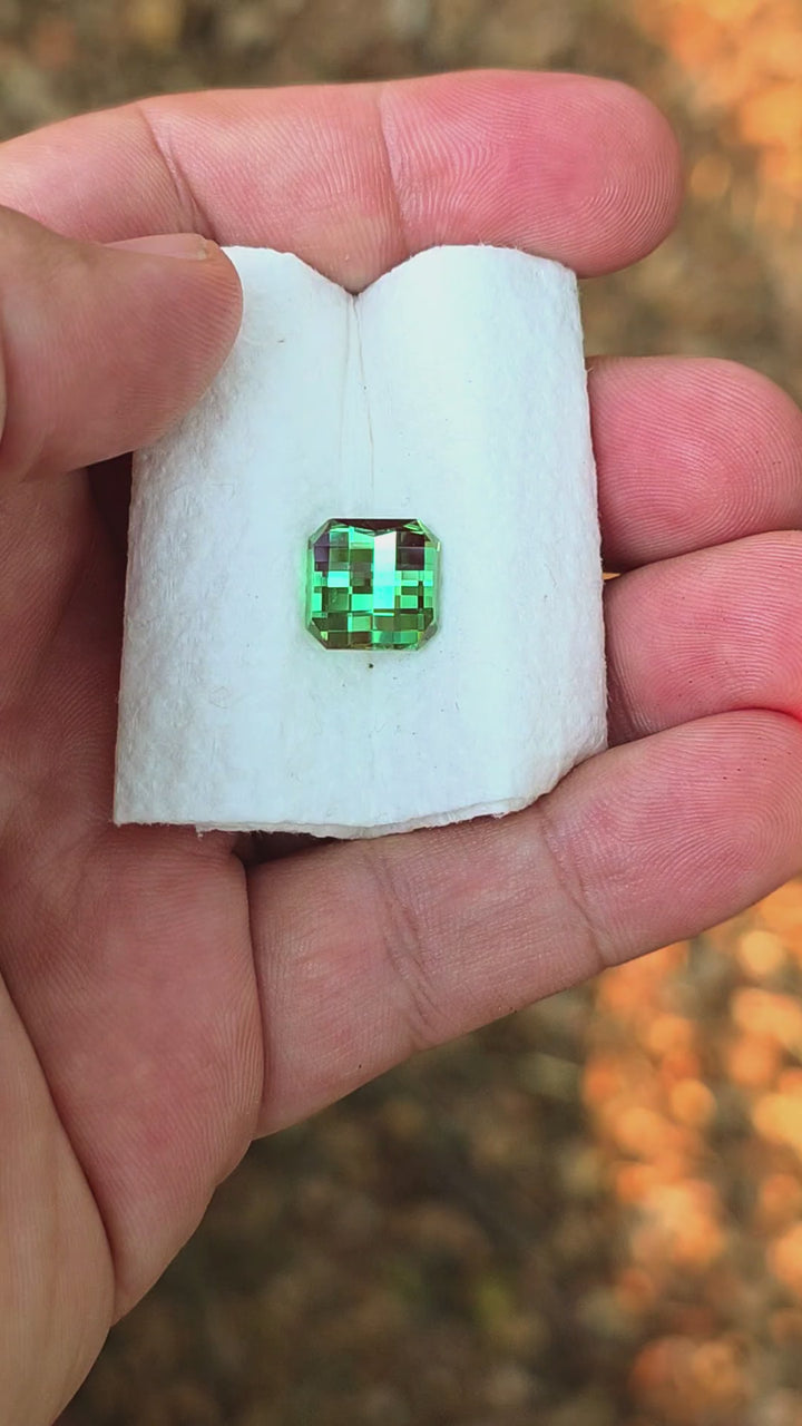 Czochralski Green and Red Christmas Garnet, Pixel Square Cut, 8.85 Carats