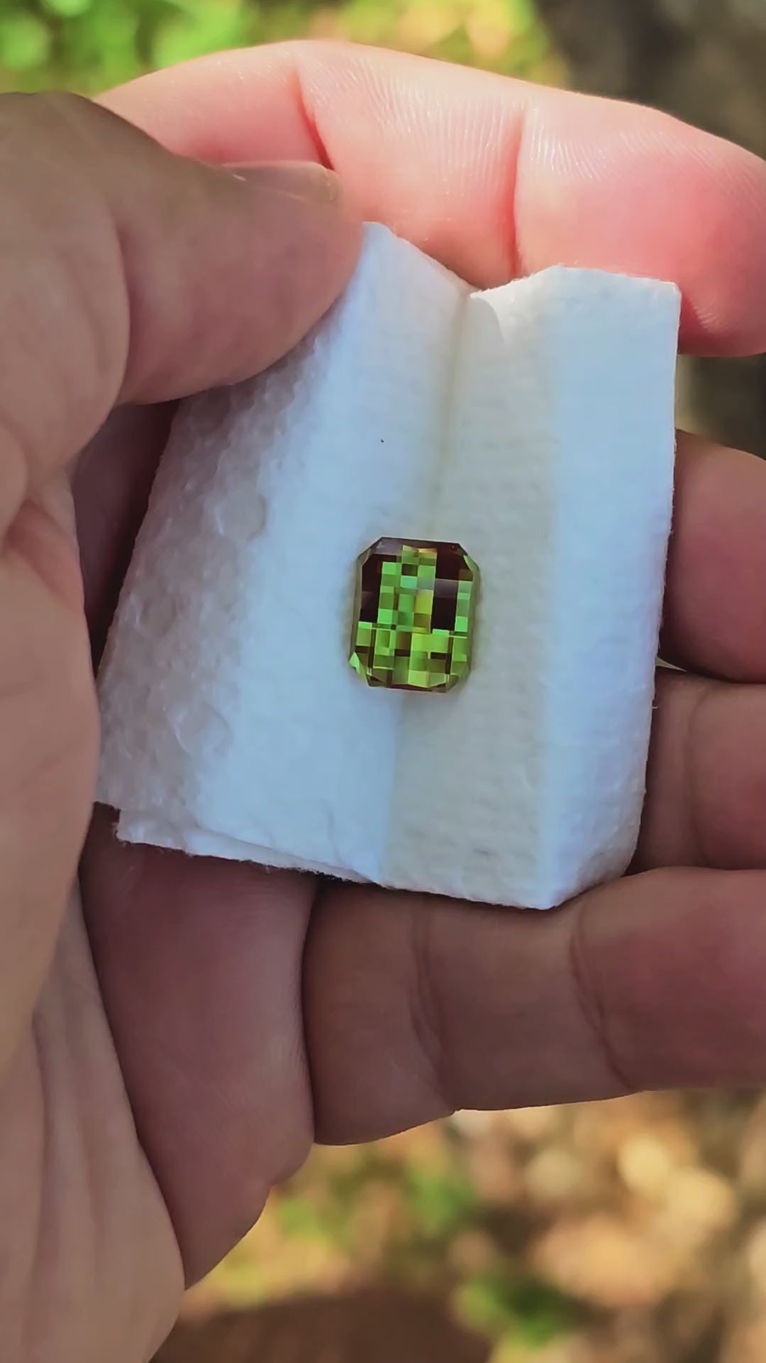 Green and Red Christmas Garnet, Pixel Rectangle Cut, 7.65 Carats