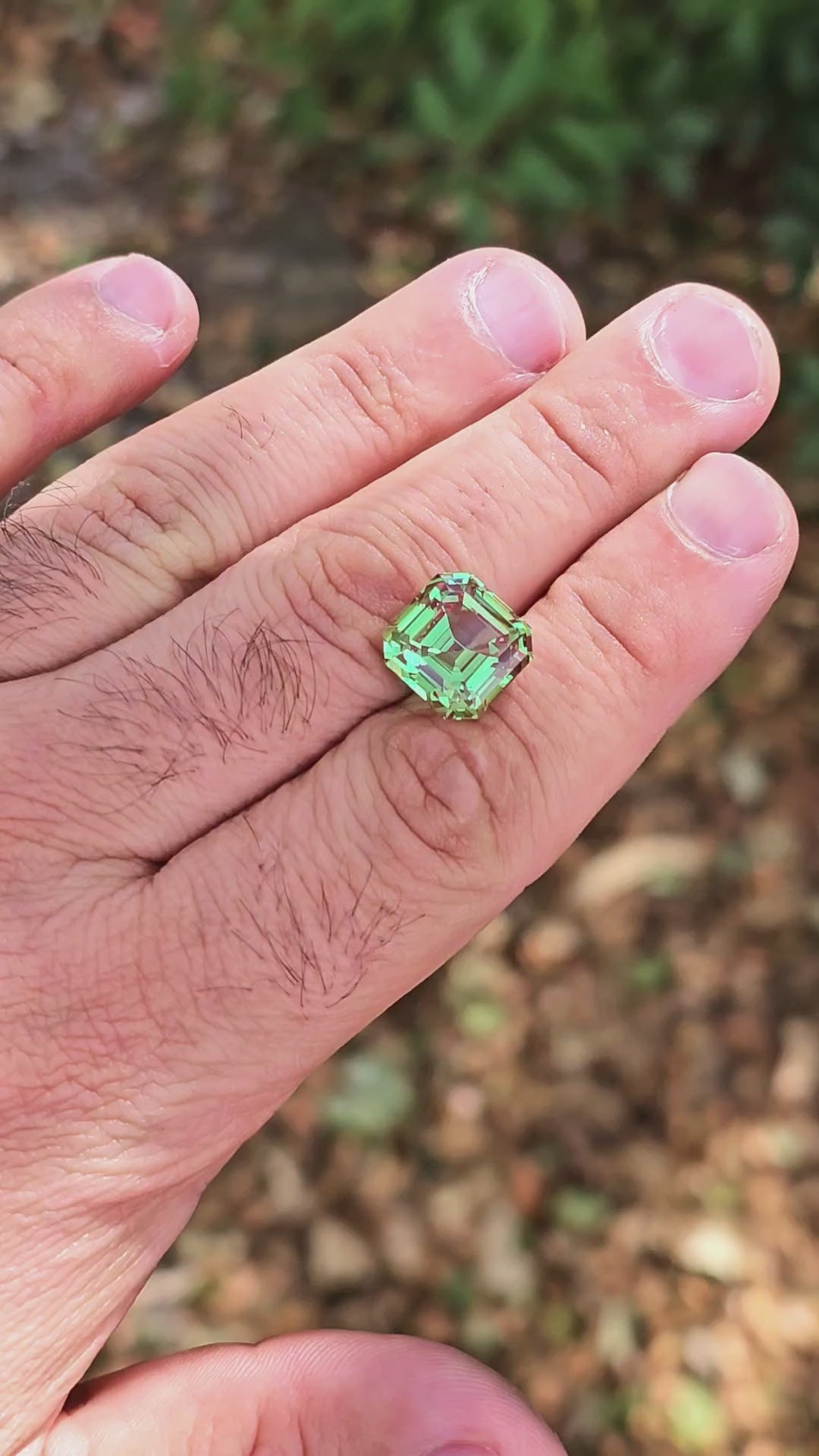 Green and Red Christmas Garnet, Asscher Cut, 13.92 Carats