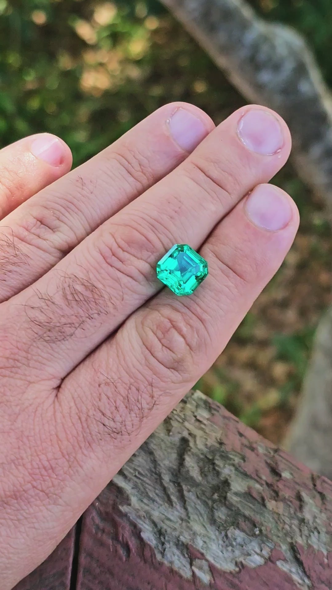 Colombian Color Green Lab Emerald, Asscher Cut, 5.13 Carats