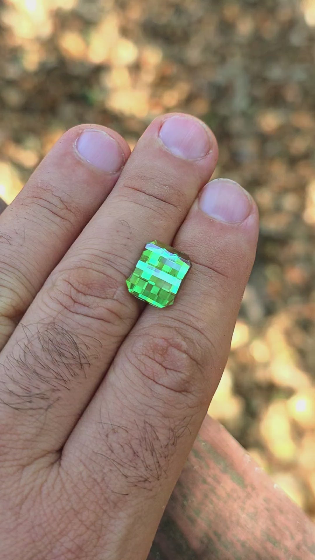 Czochralski Green and Red Christmas Garnet, Pixel Rectangle Cut, 11.35 Carats