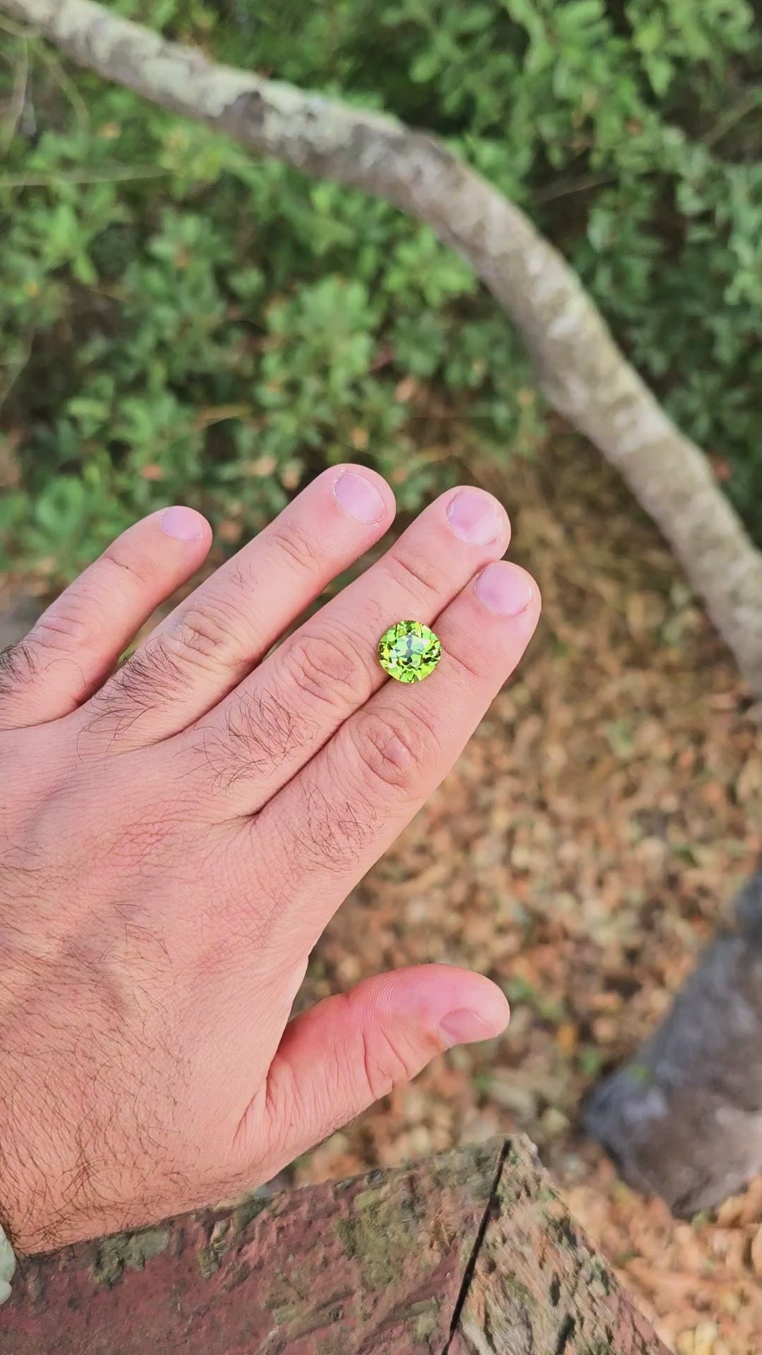 Peridot Green Colored Lab Sapphire, Antique Cushion Cut, 8.26 Carats