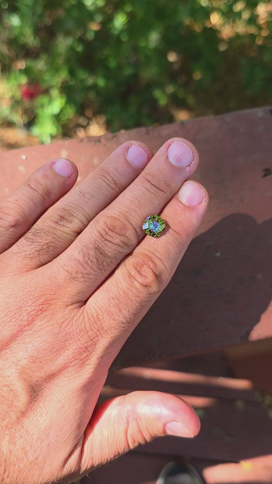 Kyroupolos Green and Red Christmas Garnet, House Of Sylas Cushion Cut, 4.83 Carats