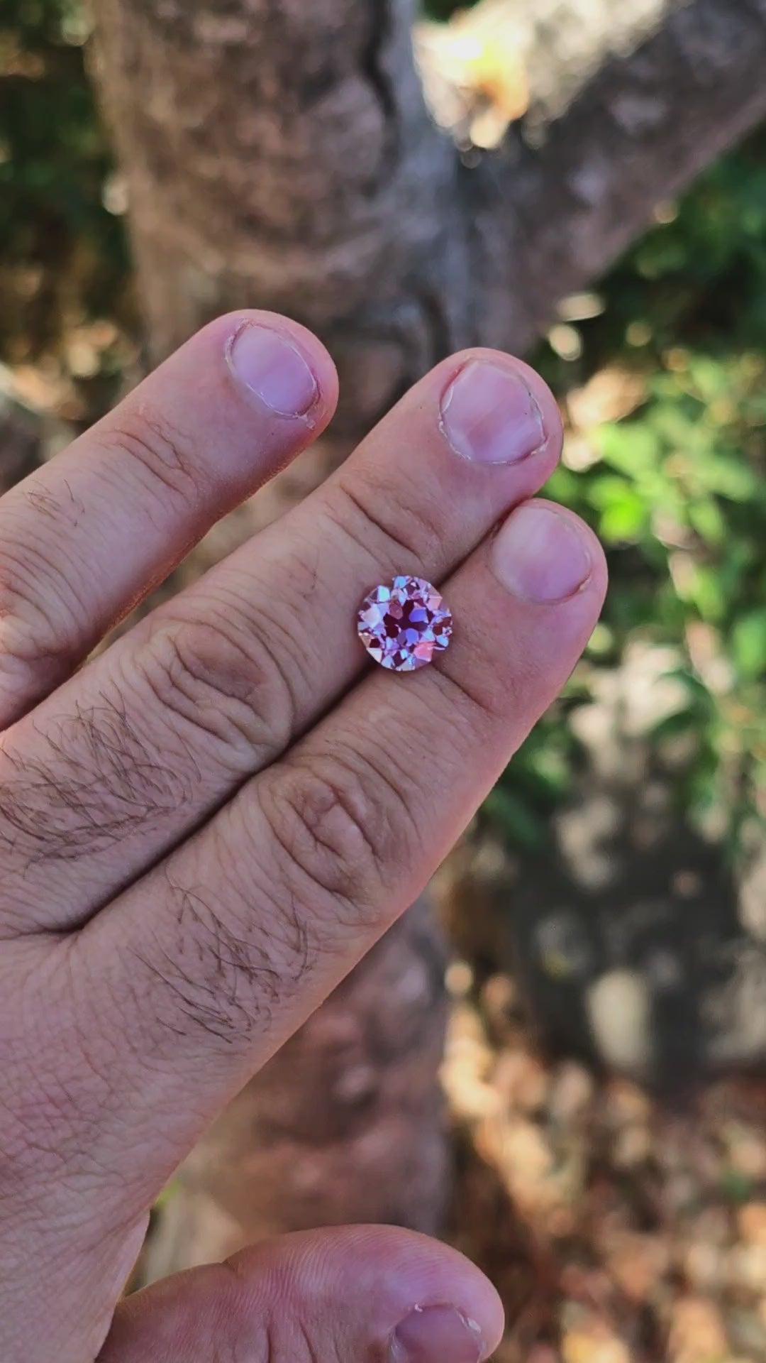 Repurposed Laser Alexandrite, Antique Cushion Cut, 4.39 Carats